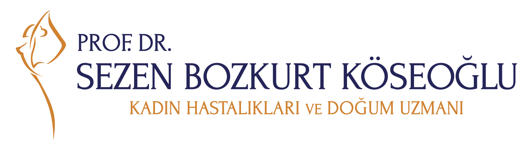 Prof. Dr. Sezen Bozkurt Köseoğlu